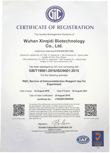 Xinqidi ISO9001:2015 Certificate of Registaion